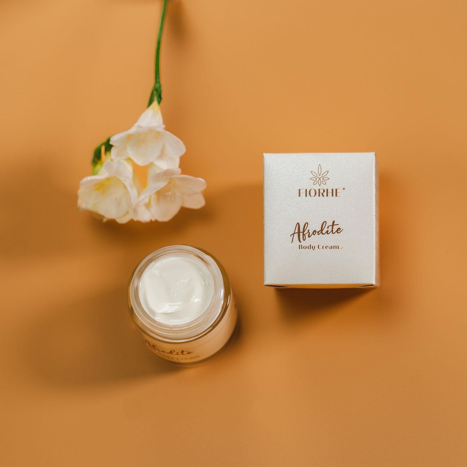 Body-Collection Fiorhe